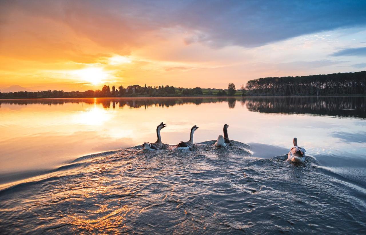 Le Ali Del Frassino Hotel Peschiera del Garda Bagian luar foto